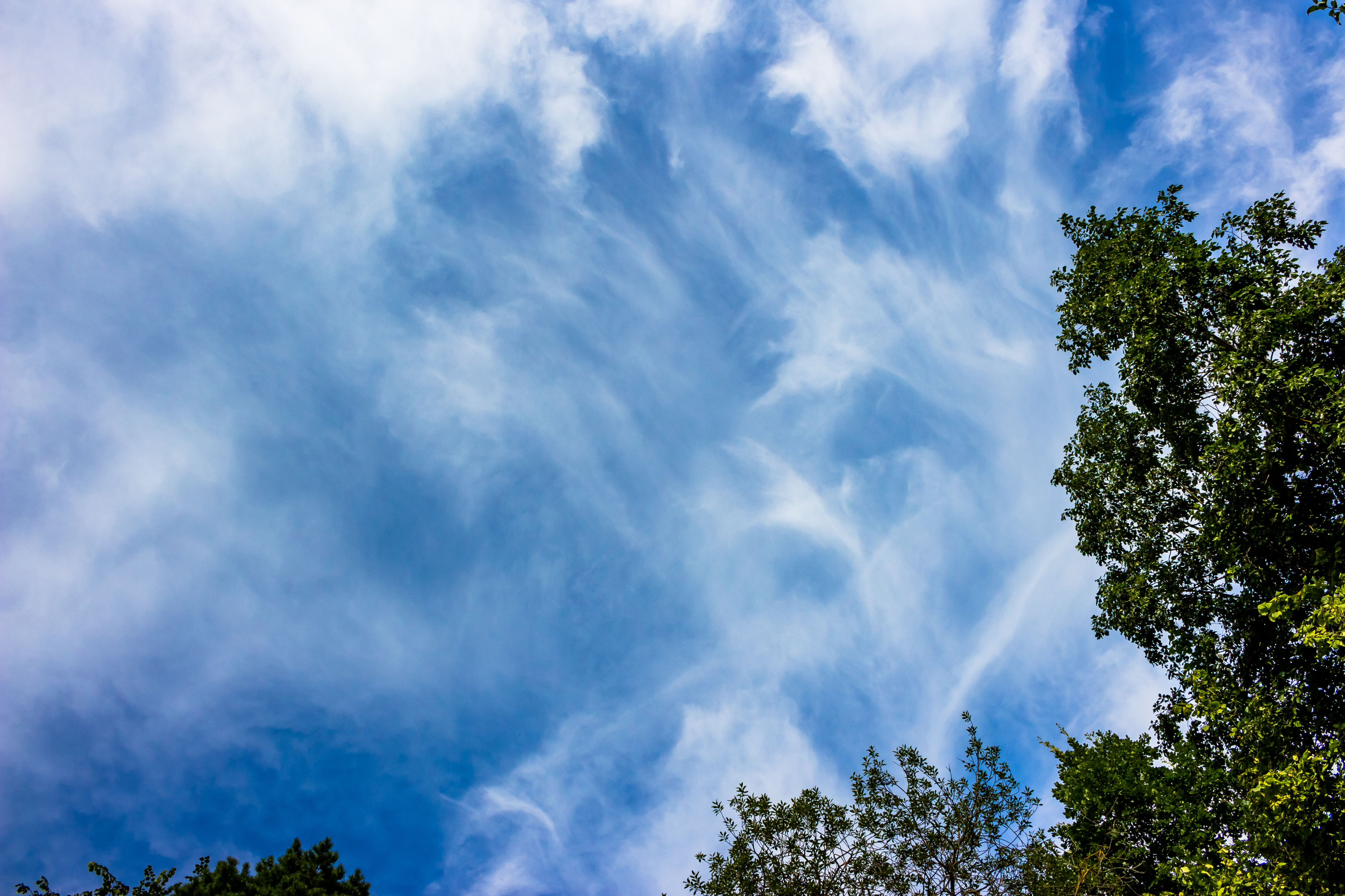 Klima und Umwelt im Sport