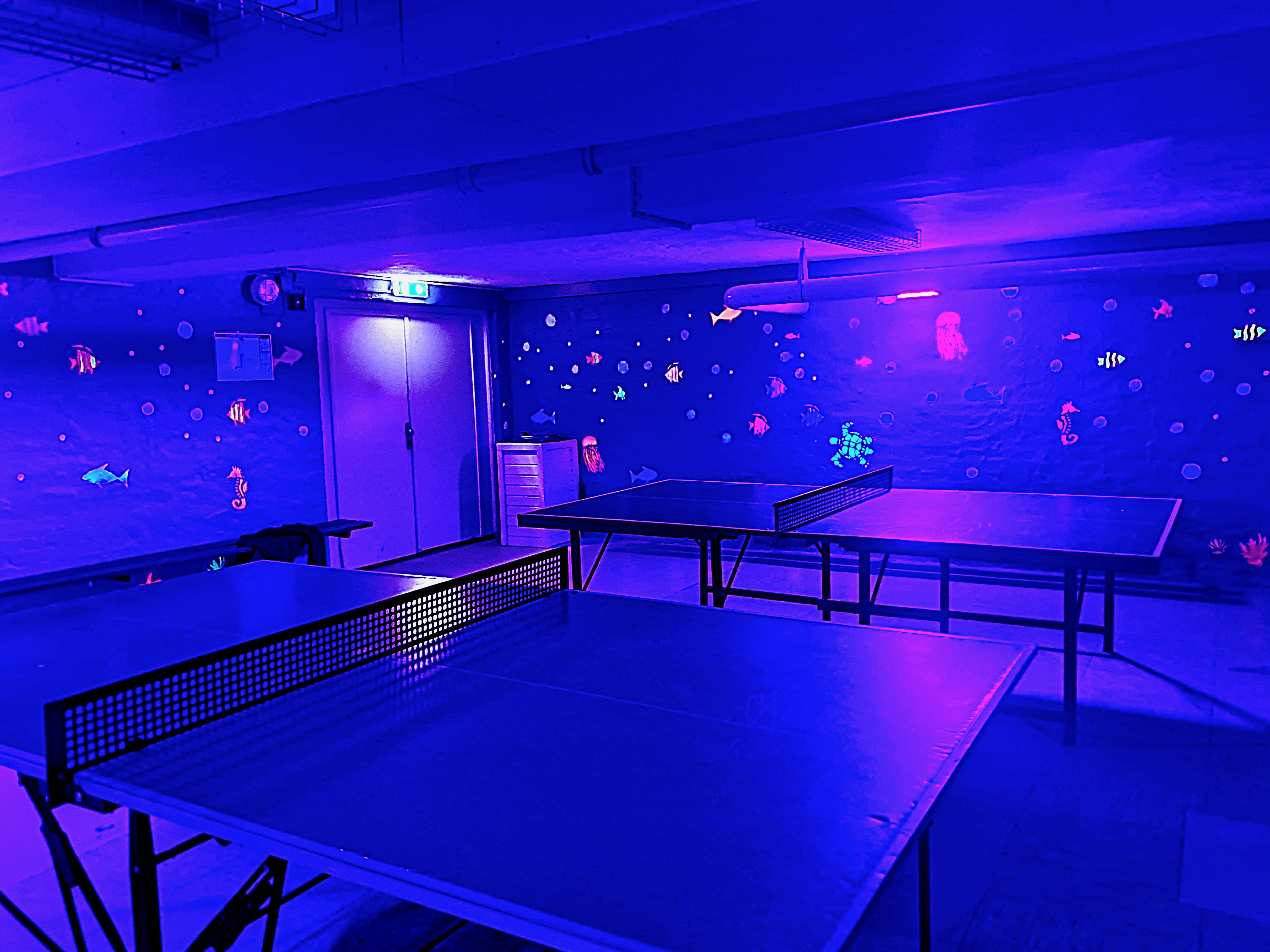 Der "Tischtenniskeller" im Fünf Städte - Heim in Nieblum auf Sylt. - Foto: 5SV